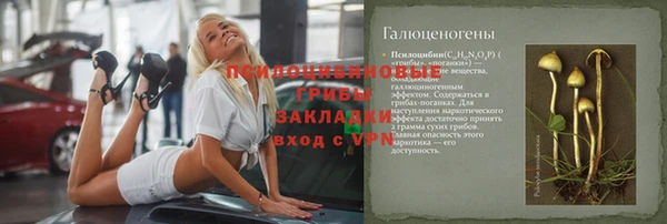 твердый Балахна