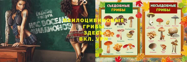 гидропоника Балабаново